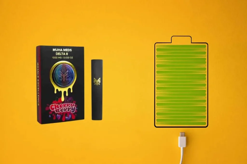 Muha Meds Disposable Charging Instructions